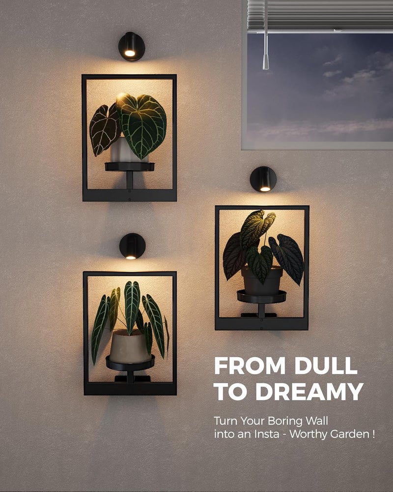 Bamworld Hanging Planters for Indoor Plants Wall Decor Living Room Plant Stand Indoor Wall Planters Plant Hanger Window Plant Shelves 3-Packs with Lights - Image 5